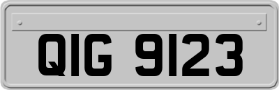QIG9123
