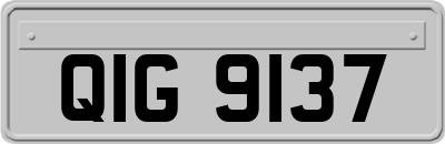 QIG9137
