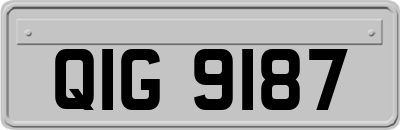 QIG9187