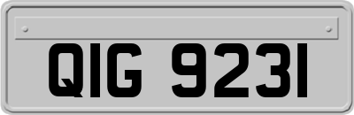 QIG9231