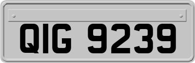 QIG9239