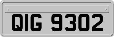 QIG9302