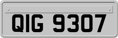 QIG9307