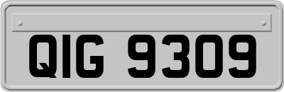 QIG9309
