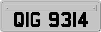QIG9314