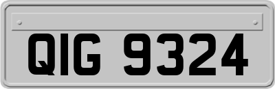 QIG9324