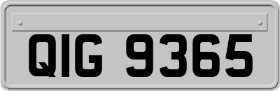 QIG9365