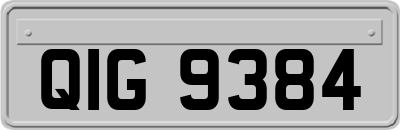 QIG9384