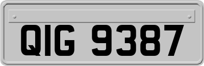 QIG9387