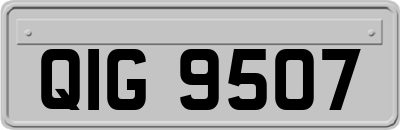 QIG9507