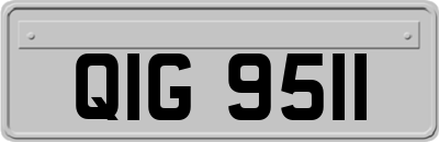 QIG9511
