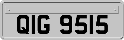 QIG9515