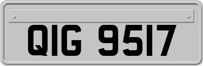 QIG9517