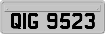 QIG9523