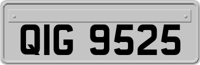 QIG9525