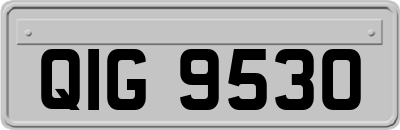 QIG9530