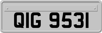 QIG9531