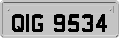 QIG9534
