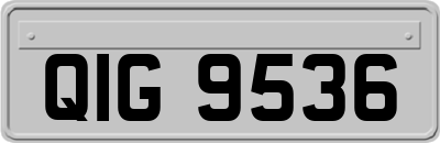 QIG9536