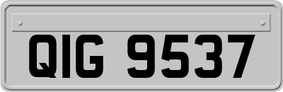 QIG9537