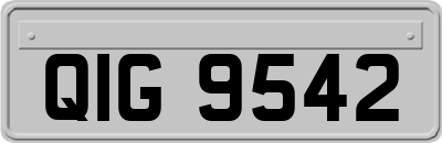 QIG9542