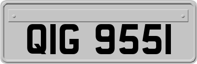 QIG9551