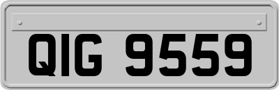 QIG9559