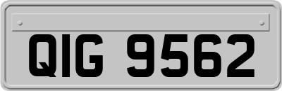 QIG9562
