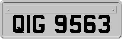 QIG9563