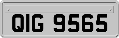 QIG9565