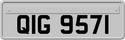 QIG9571