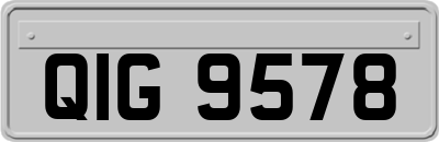 QIG9578