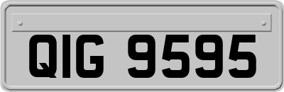 QIG9595