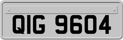 QIG9604