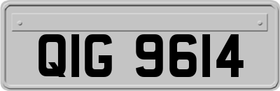 QIG9614