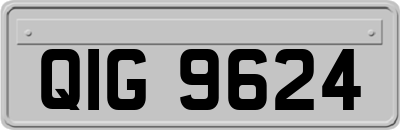 QIG9624