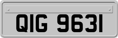 QIG9631