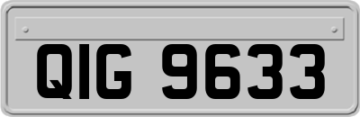 QIG9633
