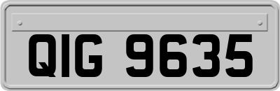 QIG9635
