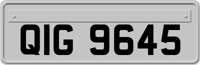 QIG9645