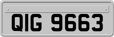 QIG9663