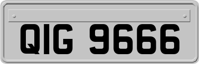 QIG9666