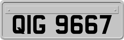 QIG9667