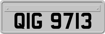 QIG9713