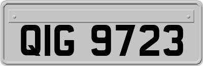 QIG9723