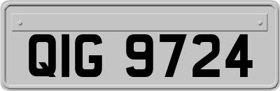 QIG9724