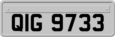 QIG9733