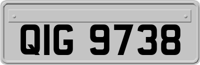 QIG9738