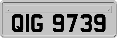 QIG9739