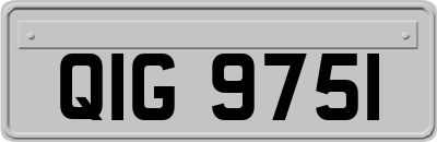 QIG9751